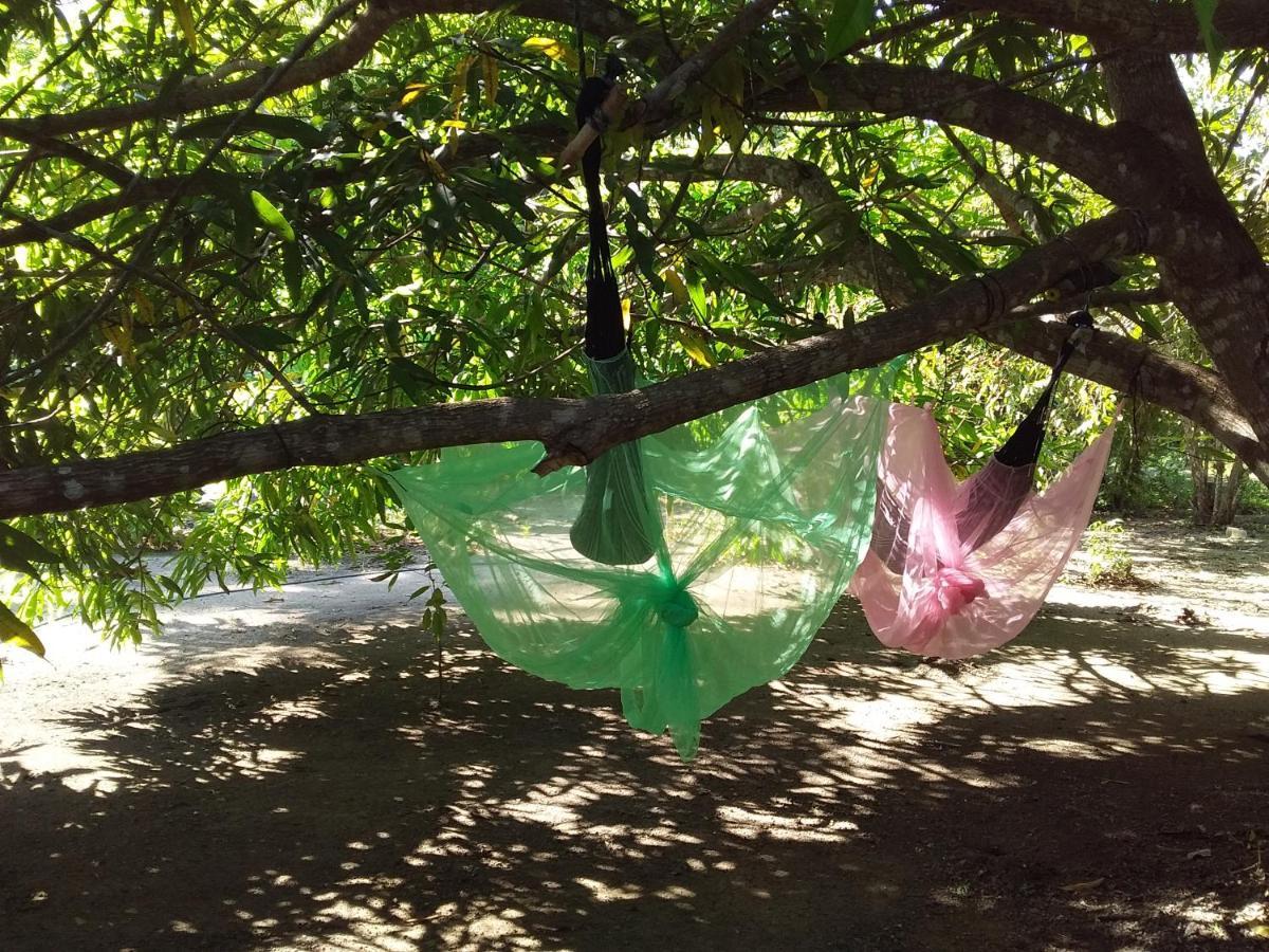 Eco-Camping Mango Feliz Rincón del Mar San Onofre Exterior foto