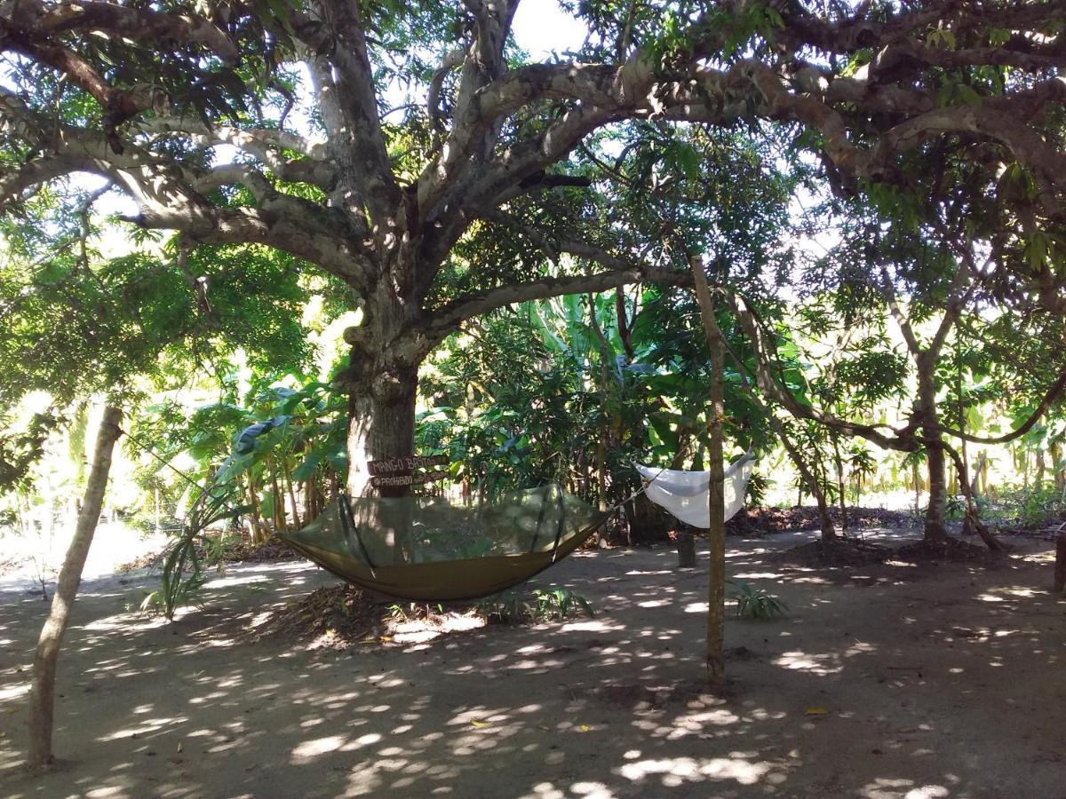 Eco-Camping Mango Feliz Rincón del Mar San Onofre Exterior foto