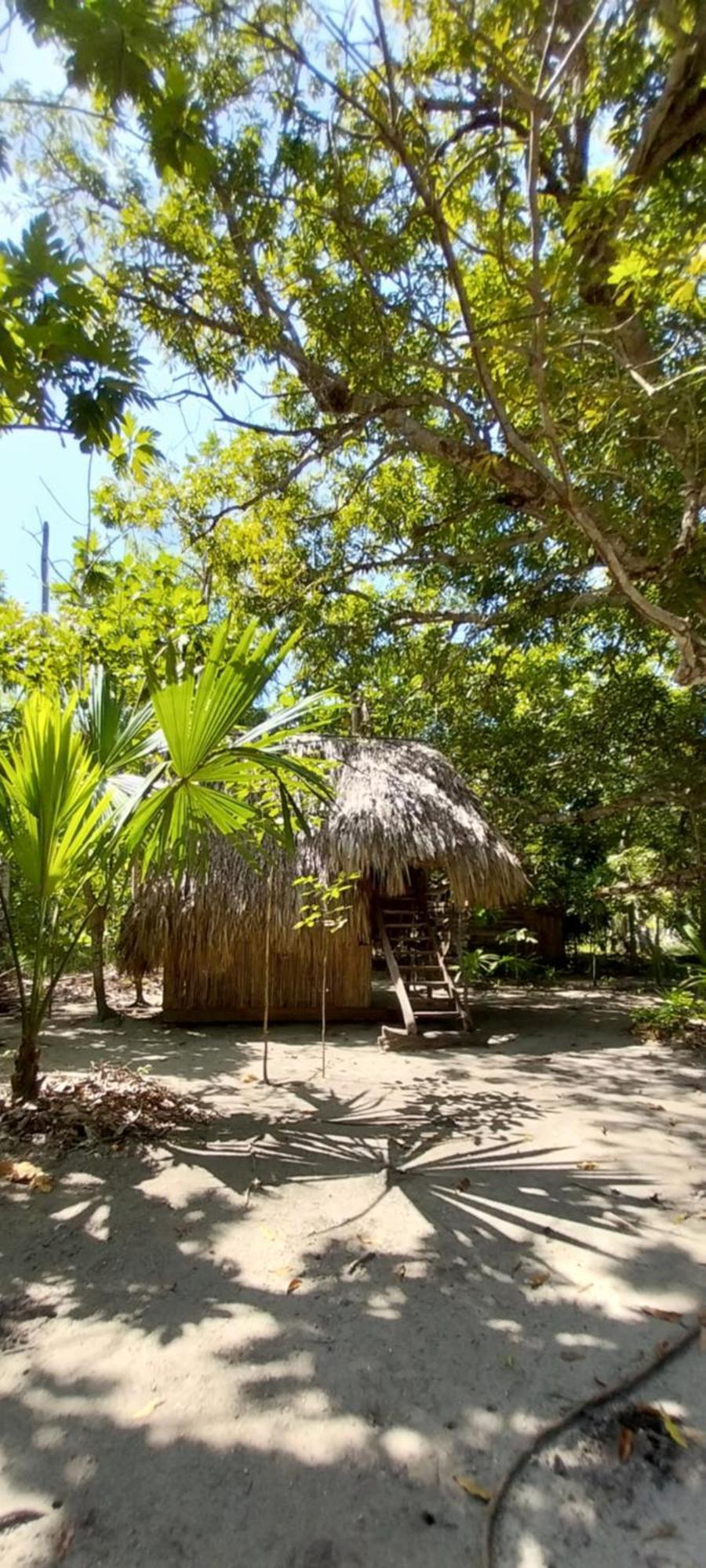 Eco-Camping Mango Feliz Rincón del Mar San Onofre Exterior foto