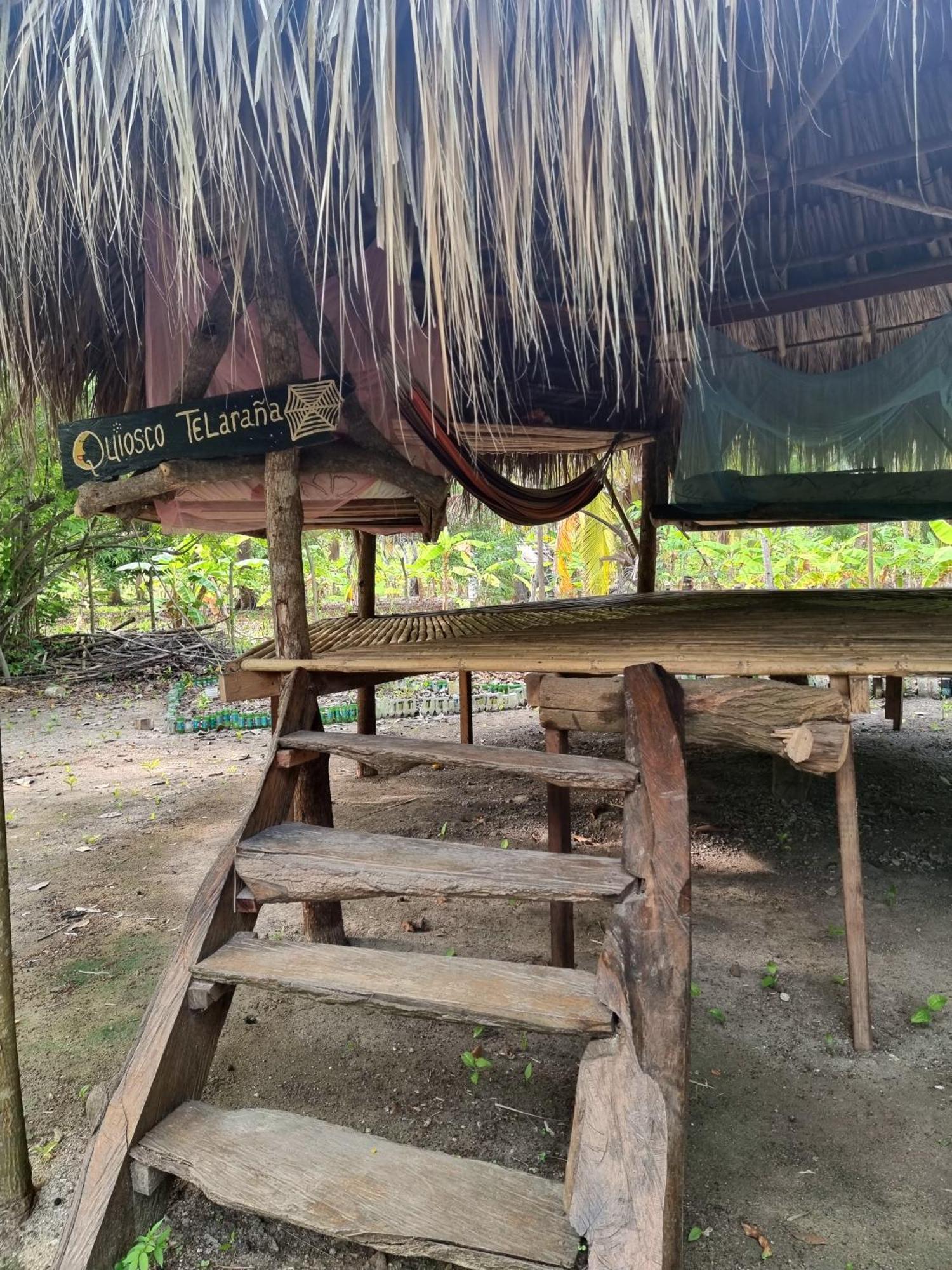 Eco-Camping Mango Feliz Rincón del Mar San Onofre Exterior foto