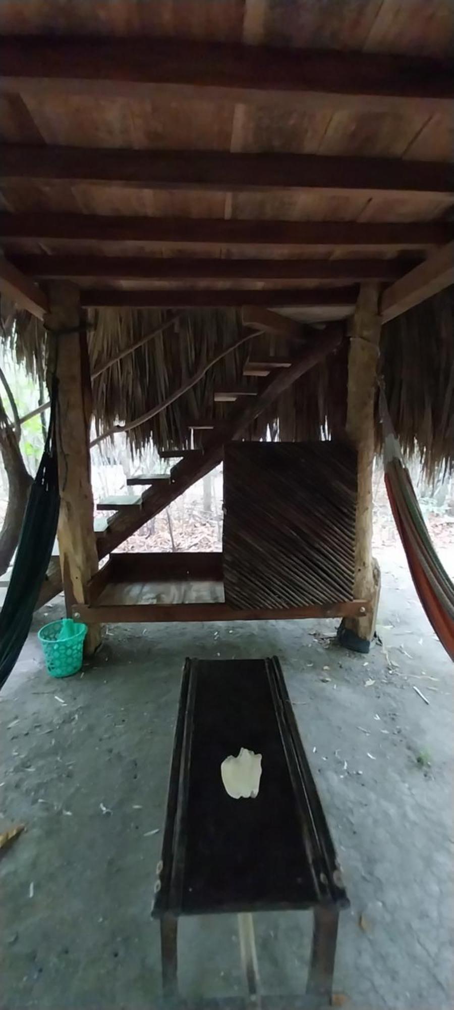 Eco-Camping Mango Feliz Rincón del Mar San Onofre Exterior foto